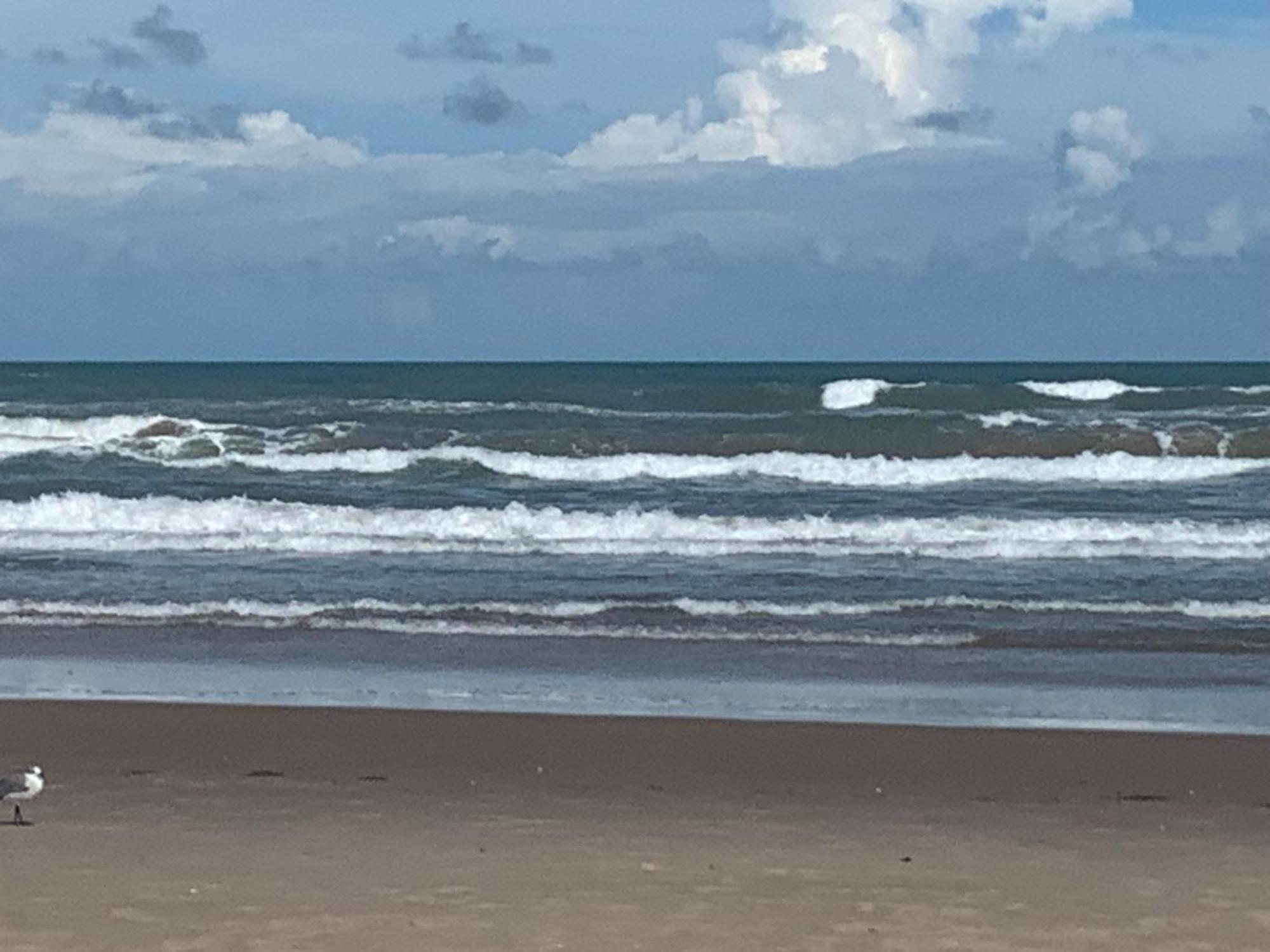 Jjs Beach Condo South Padre Island Esterno foto